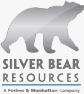 SilverBear
